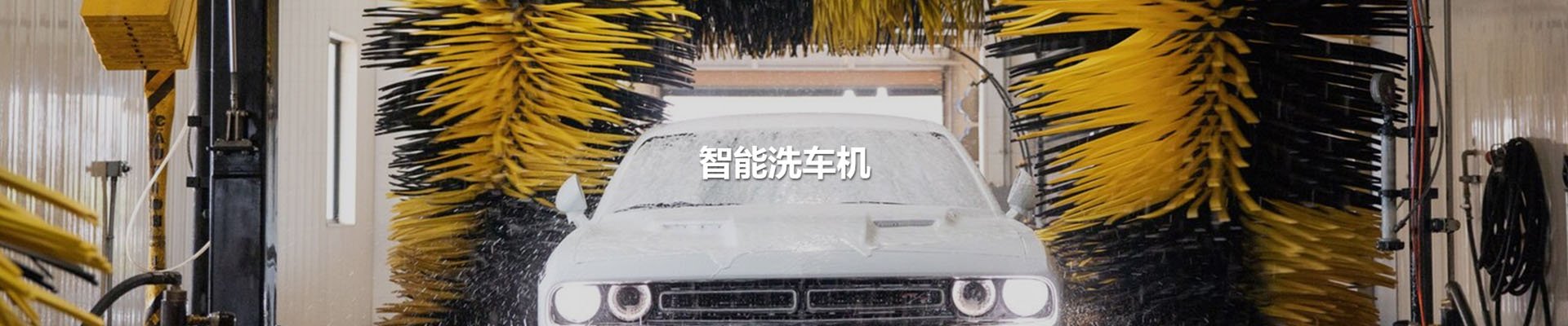 摇钱树娱乐(中国区)有限公司官网