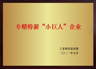 专精特新“幼巨人”企业